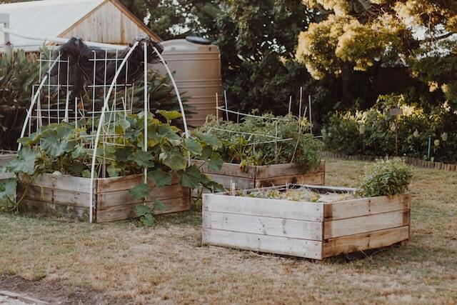 3 raised beds in a garden